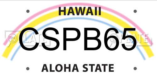 CSPB65 Hawaii License Plate