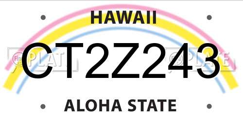 CT2Z243 Hawaii License Plate