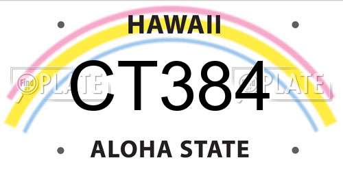 CT384 Hawaii License Plate