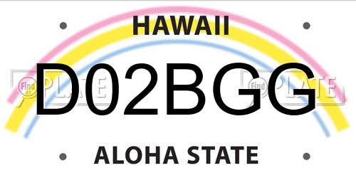 D02BGG Hawaii License Plate