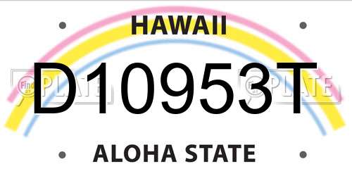 D10953T Hawaii License Plate