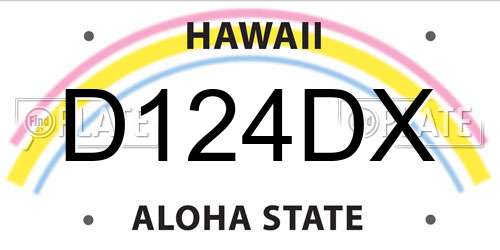 D124DX Hawaii License Plate