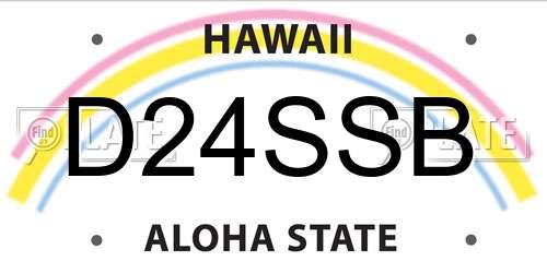 D24SSB Hawaii License Plate