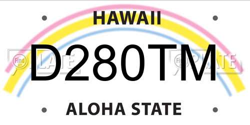 D280TM Hawaii License Plate