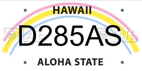 D285AS Hawaii License Plate
