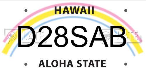 D28SAB Hawaii License Plate