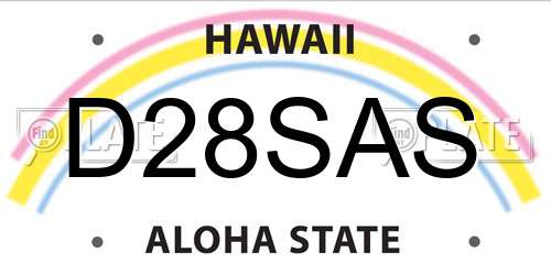 D28SAS Hawaii License Plate
