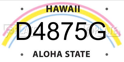 D4875G Hawaii License Plate