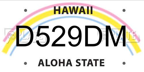 D529DM Hawaii License Plate