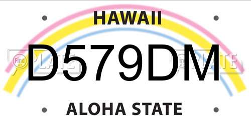 D579DM Hawaii License Plate
