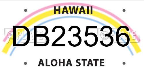 DB23536 Hawaii License Plate