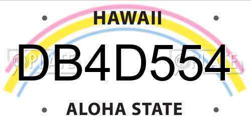 DB4D554 Hawaii License Plate