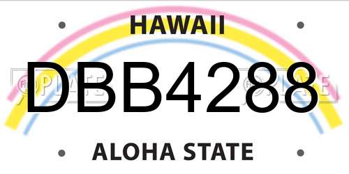 DBB4288 Hawaii License Plate