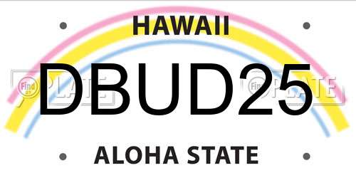 DBUD25 Hawaii License Plate