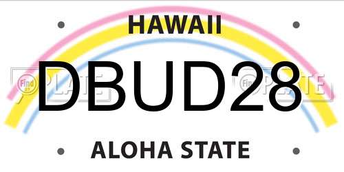 DBUD28 Hawaii License Plate
