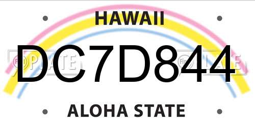DC7D844 Hawaii License Plate