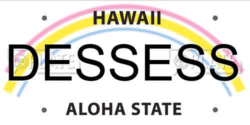 DESSESS Hawaii License Plate