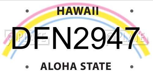 DFN2947 Hawaii License Plate