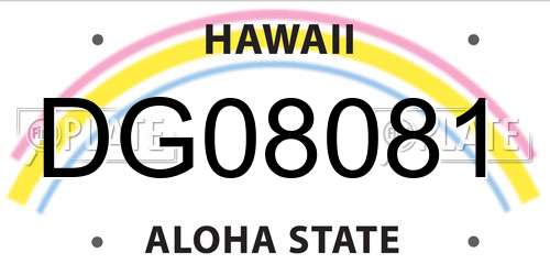 DG08081 Hawaii License Plate