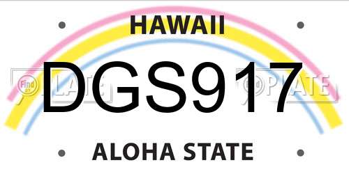 DGS917 Hawaii License Plate