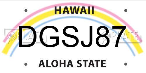 DGSJ87 Hawaii License Plate