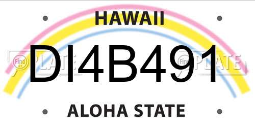 DI4B491 Hawaii License Plate