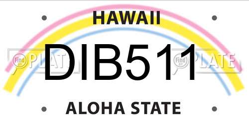DIB511 Hawaii License Plate