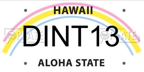 DINT13 Hawaii License Plate