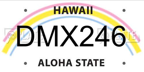 DMX246 Hawaii License Plate