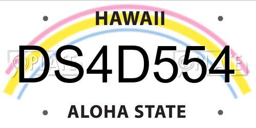 DS4D554 Hawaii License Plate