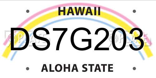 DS7G203 Hawaii License Plate
