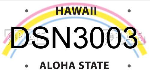 DSN3003 Hawaii License Plate
