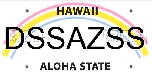 DSSAZSS Hawaii License Plate