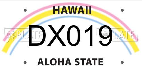 DX019 Hawaii License Plate