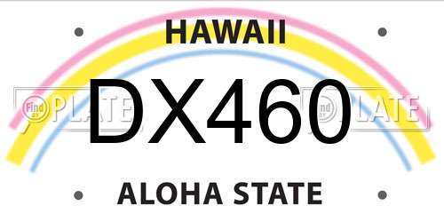 DX460 Hawaii License Plate