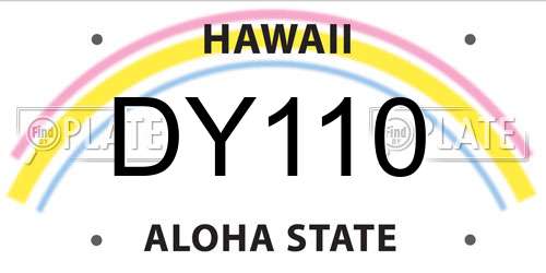 DY110 Hawaii License Plate