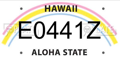 E0441Z Hawaii License Plate