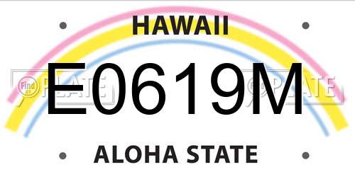 E0619M Hawaii License Plate
