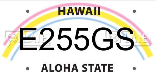 E255GS Hawaii License Plate