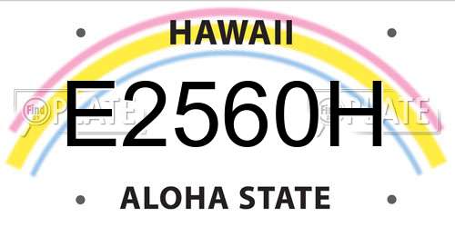E2560H Hawaii License Plate