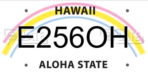 E256OH Hawaii License Plate