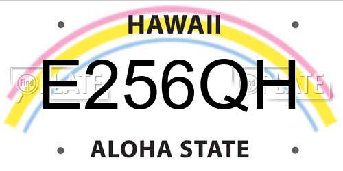 E256QH Hawaii License Plate