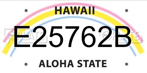 E25762B Hawaii License Plate