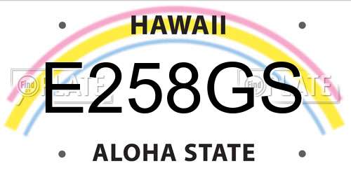 E258GS Hawaii License Plate