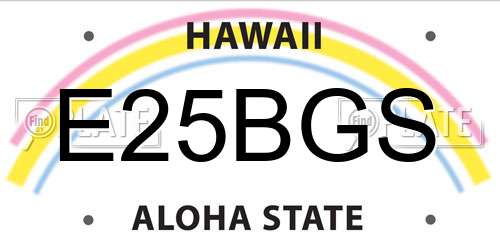 E25BGS Hawaii License Plate