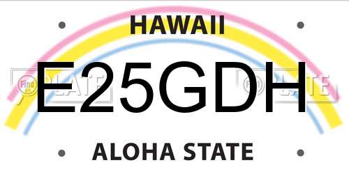 E25GDH Hawaii License Plate