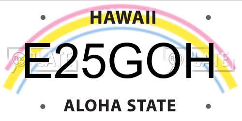 E25GOH Hawaii License Plate