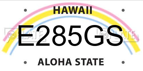 E285GS Hawaii License Plate