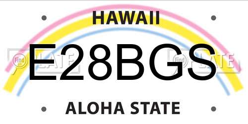 E28BGS Hawaii License Plate