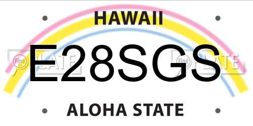 E28SGS Hawaii License Plate
